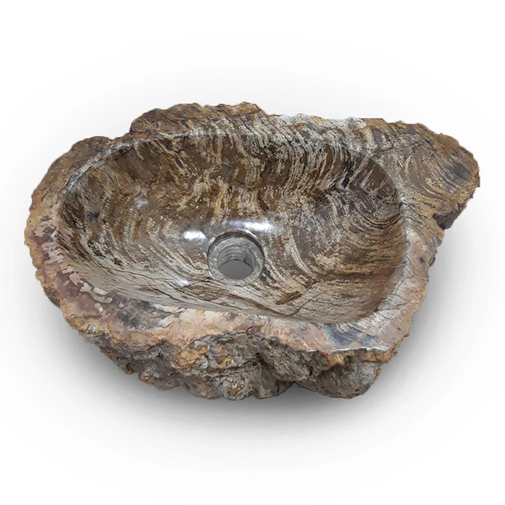 Petrified wood - SMALL